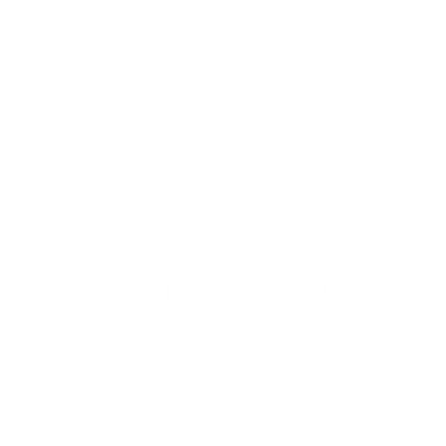 Vape Vault